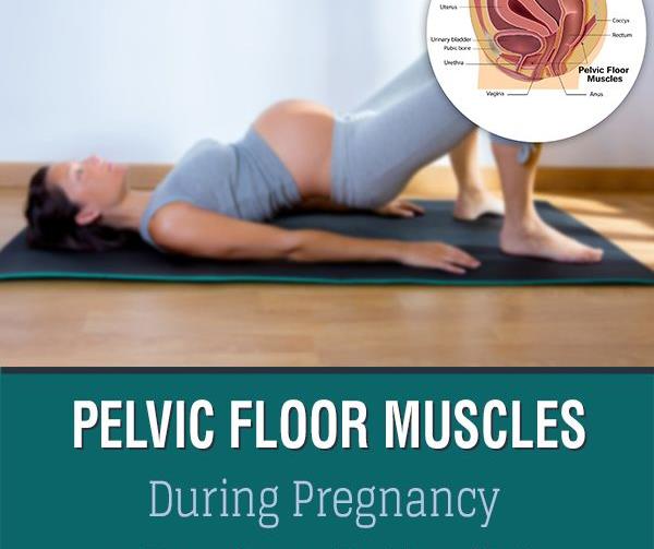 Prenatal Exercises For Pelvic Floor Fabmoms Prenatal