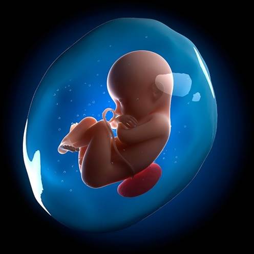 Amniotic fluid during pregnancy