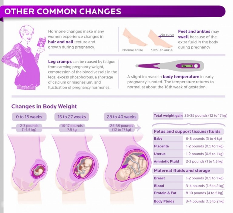 breast changes during pregnancy week by week