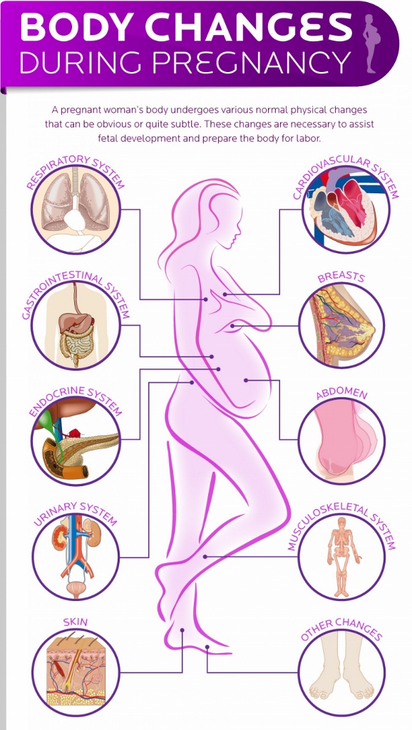 bodily changes you can expect during pregnancy - Snapshot