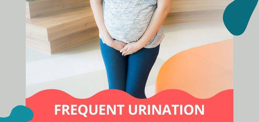 Frequent urination during pregnancy