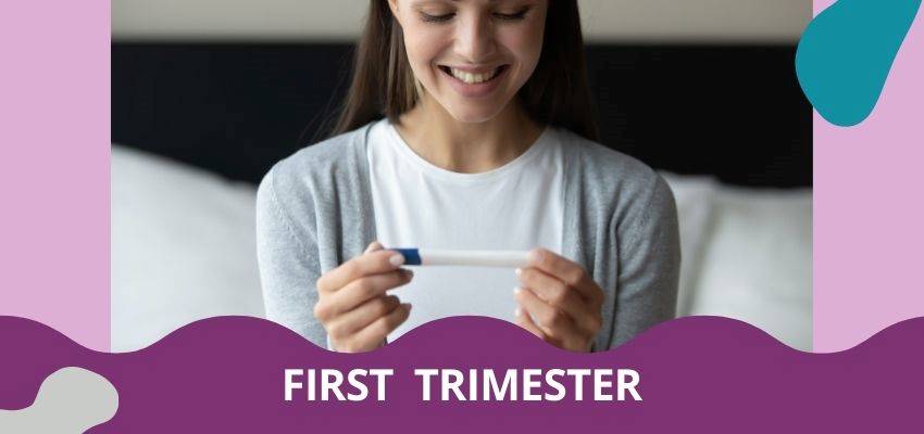 Early pregnancy first trimester