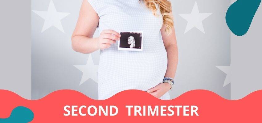 Second Trimester Pregnancy: Changes to your Body