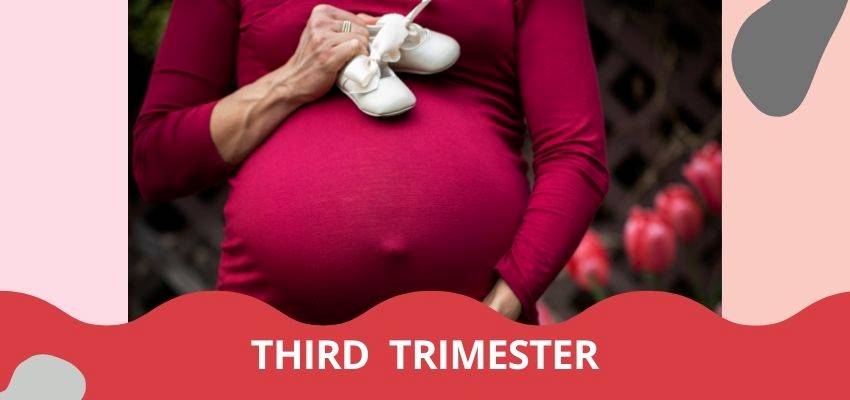 Third Trimester Pregnancy